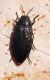 DSCF5536.JPG
