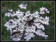 DSCF3040.jpg