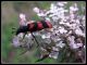 DSCF3039.jpg