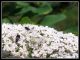 DSCF3048.jpg