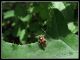 DSCF3059.jpg