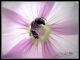 DSCF3064.jpg