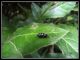 DSCF2915.jpg