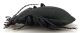 Comb1244_18cRcr.jpg