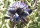 DSCN3847l.jpg