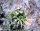 DSCN3849b_mod.jpg
