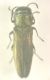 DSCN7558.JPG