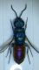 DSCF8028.JPG
