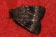 DSC_1740.jpg