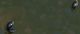 Cattura.JPG