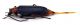 Comb1265_12Zcr.jpg