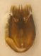 DSCN7764.JPG