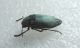 DSCN3068.JPG