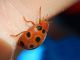 DSCN9755.JPG