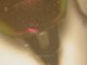 DSCN7811.JPG