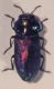 IMG_9353_modificato-1-1.jpg