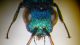 DSCF8162.JPG
