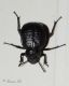 DSC_5989_Entomology.jpg
