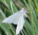 DSC00422.jpg