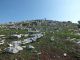 Artena_1-X-2014_Fu_022.JPG