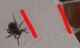 2984_1fc955b45a7fd309b6e2bf9c23942cc7.jpg