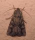 DSCN9091.JPG