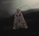 DSCN9136.JPG