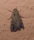 DSCN9147.JPG