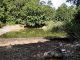 Scalambra_15-VIII-2007_f08.jpg