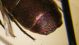 DSCF8271.JPG