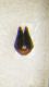 DSCF8289.JPG
