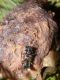 P1340963_.JPG