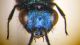 DSCF8303.JPG