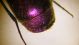 DSCF8309.JPG