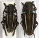 Neodorcadion bilineatum_pair_Serbia_.jpg