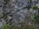Gnophos obfuscata 17-08-2014 Cimone.jpg
