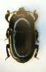 Histeride Platysoma compressum (Herbst).JPG