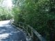 verde 01-05-2014 Baselga di Vezzano q.500a.jpg