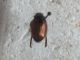 DSCF5055.JPG