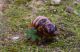 DSC_3356.JPG
