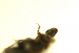 DSC05668.jpg