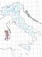 Carabus (Macrothorax) morbillosus morbillosus Fabricius, 1792.jpg