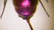 DSCF8364.JPG