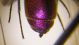 DSCF8367.JPG