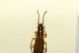 DSC05791.jpg
