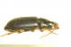 DSC05858.jpg