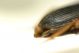 DSC05938.jpg