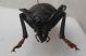 DSCF1185.JPG