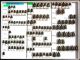 Scarabaeidae 35.JPG