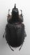 DSCF1248.JPG